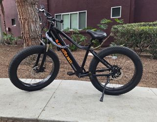 E-Bike Blackrock Island Warrior