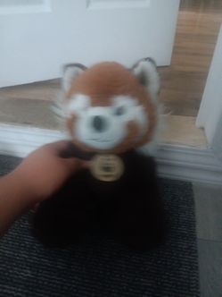 WWF racoon plush friend!