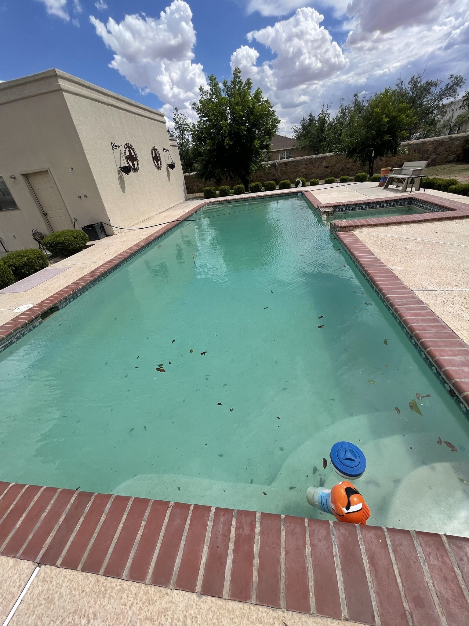 Swimming Pool Vacuum ! for Sale in Canutillo, TX OfferUp