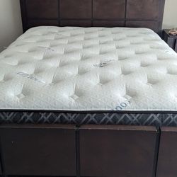 Brand New Sets