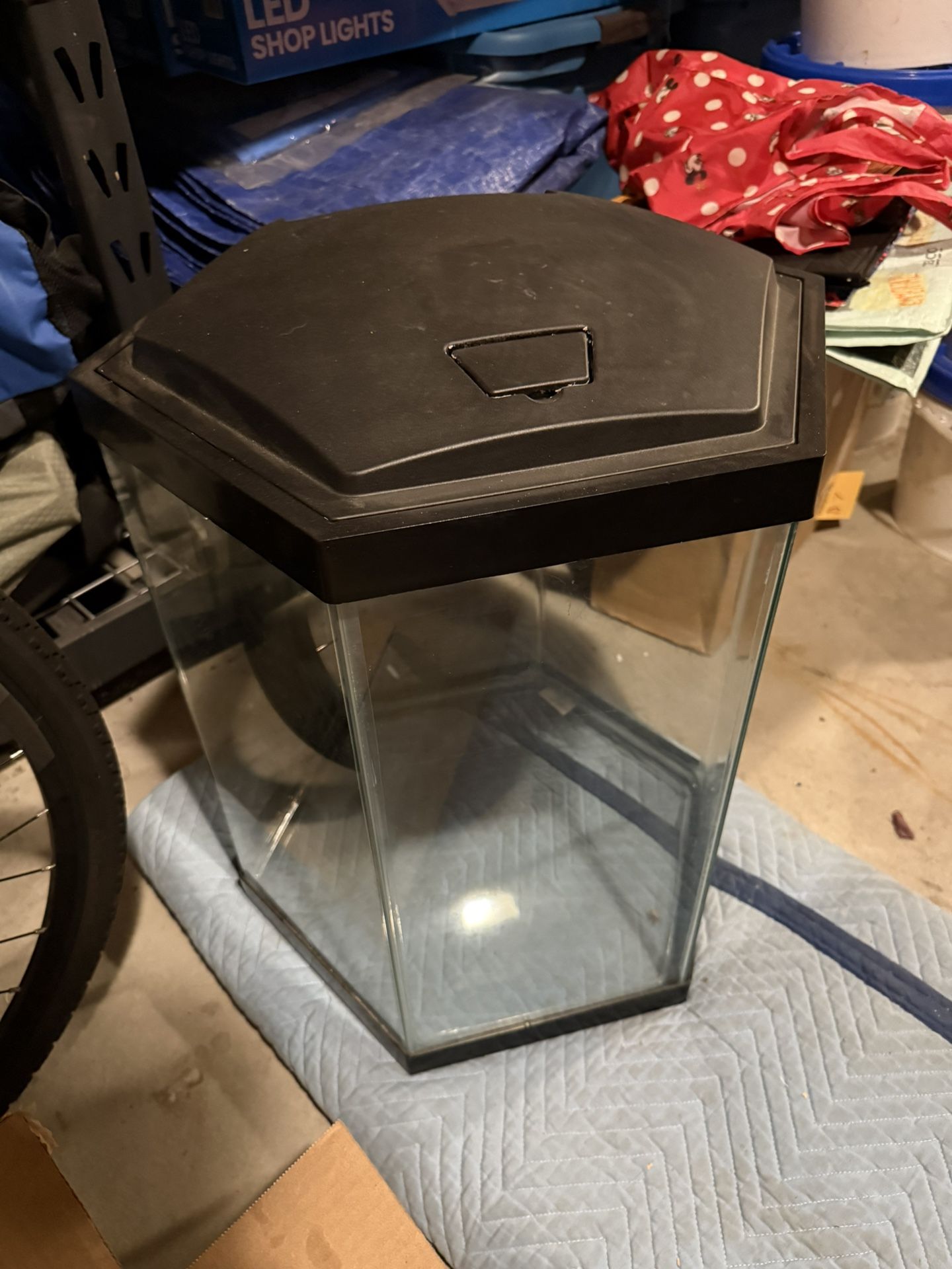 20 Gallon Aquarium