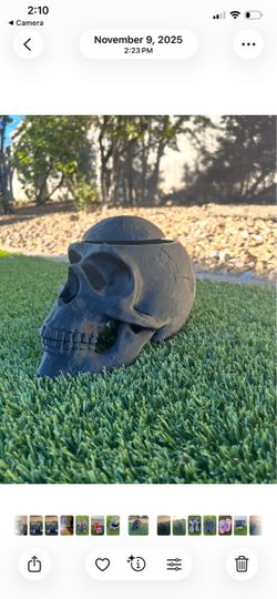 Black skull with opening on top