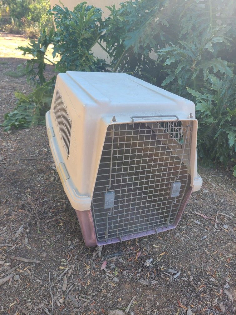 Free Dog Crate