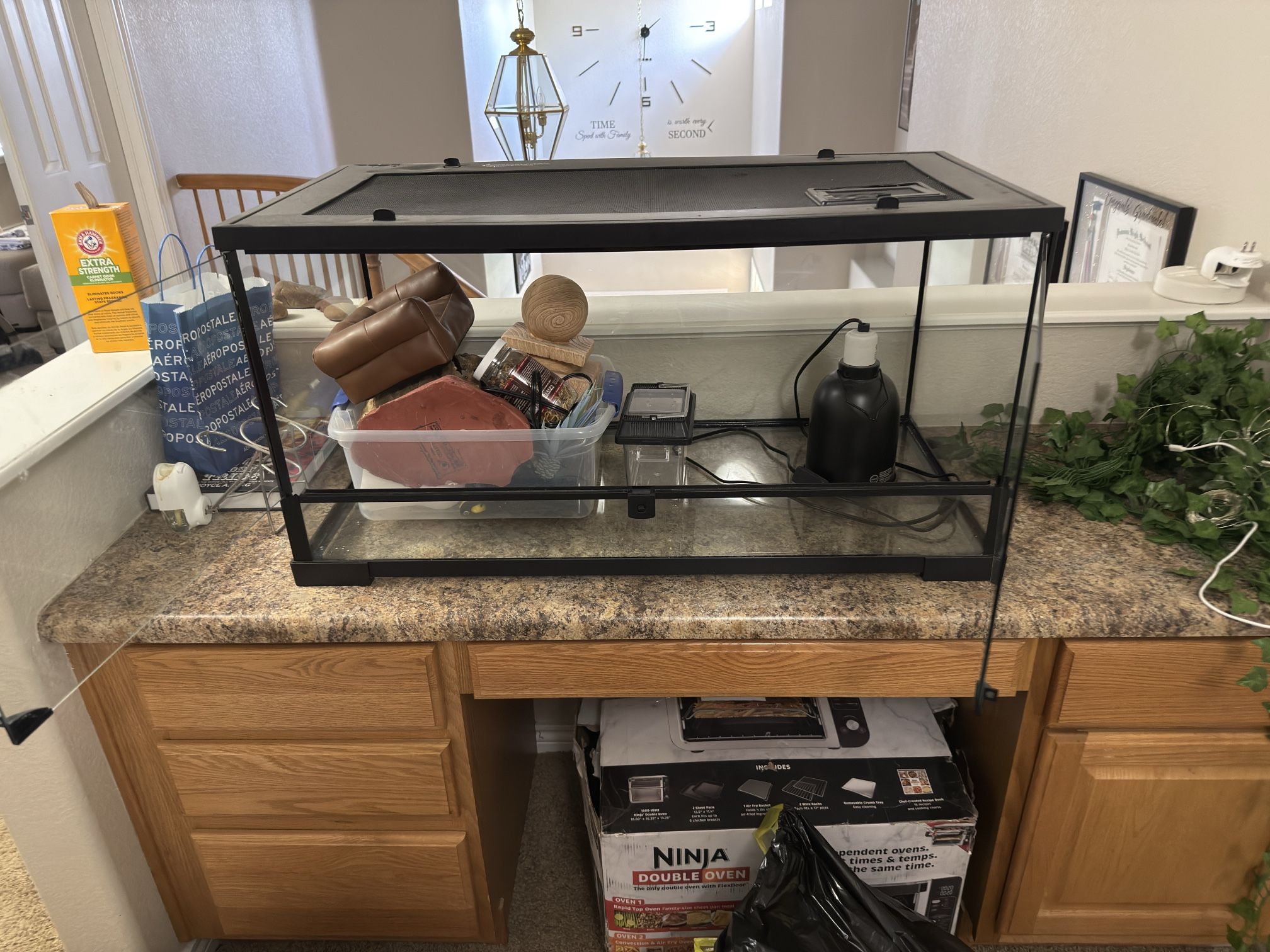 🦎 60-Gallon Reptile Terrarium + Accessories – $200 (OBO)