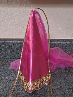 Disney world princess hat