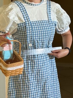 Dorothy costume dress basket and socks  size small adult or teen
