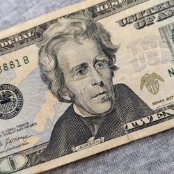 $20 US Bill