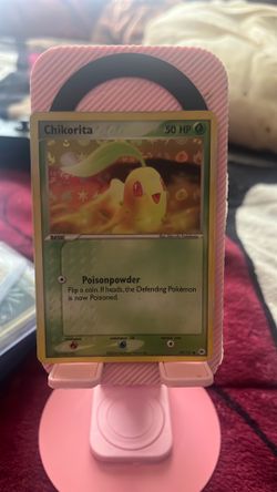 Chikorita