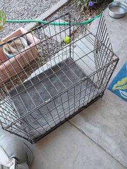Medium dog crate