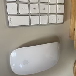 Apple rechargeable Magic Mouse 
