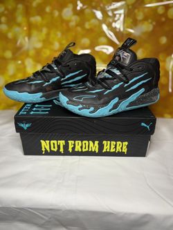 Boys MELOs