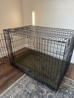 Two large dog crates with Kong bed