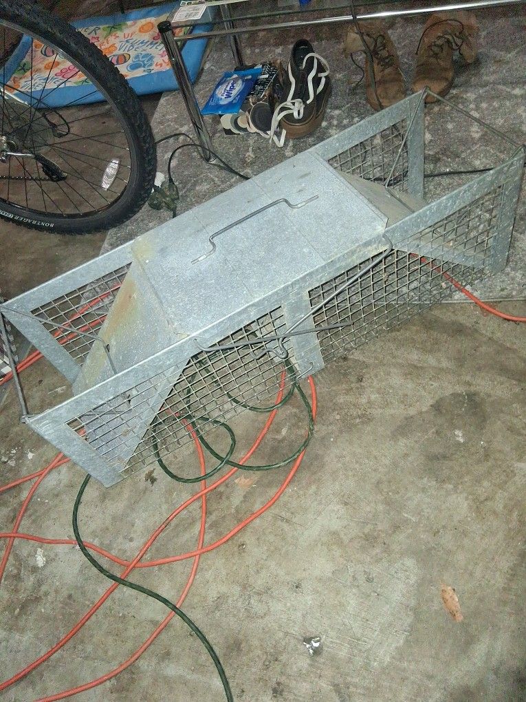 Large Animal Trap