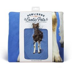 How Logan’s- Exotic Pet - Goat 💙