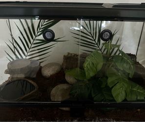 Tarantula Enclosure