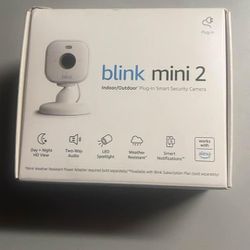 Blink Mini 2