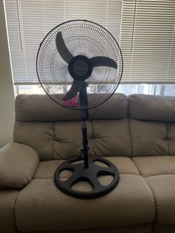 $35 For The Fan