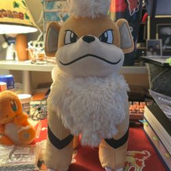 Pokémon Package! Charmander and Growlithe