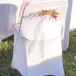 Chair Covers 