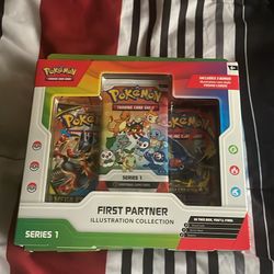 First Partner Illustrator 