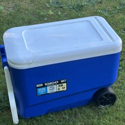 38 Qt Cooler 