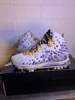 Lebron 17 Gamer Exclusive Size 7