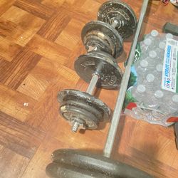 Standard Weights and adjustable dumbbells 