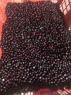 Huckleberries