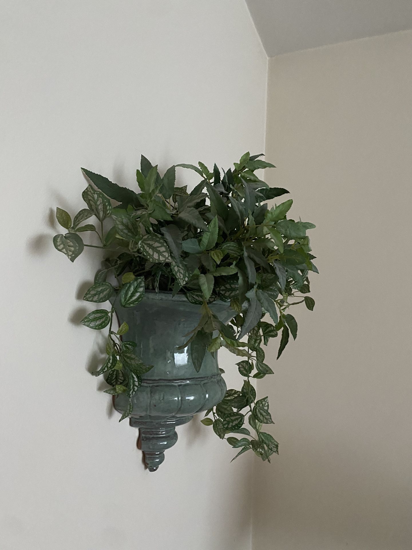 Wall Vase x fake Vine Plant 