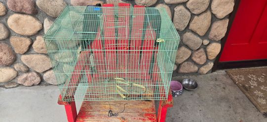 Bird Cage