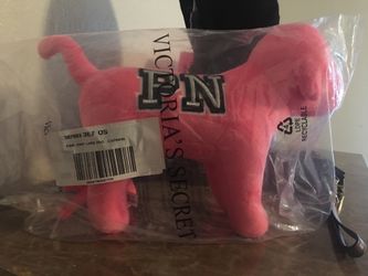 New vs pink large dog