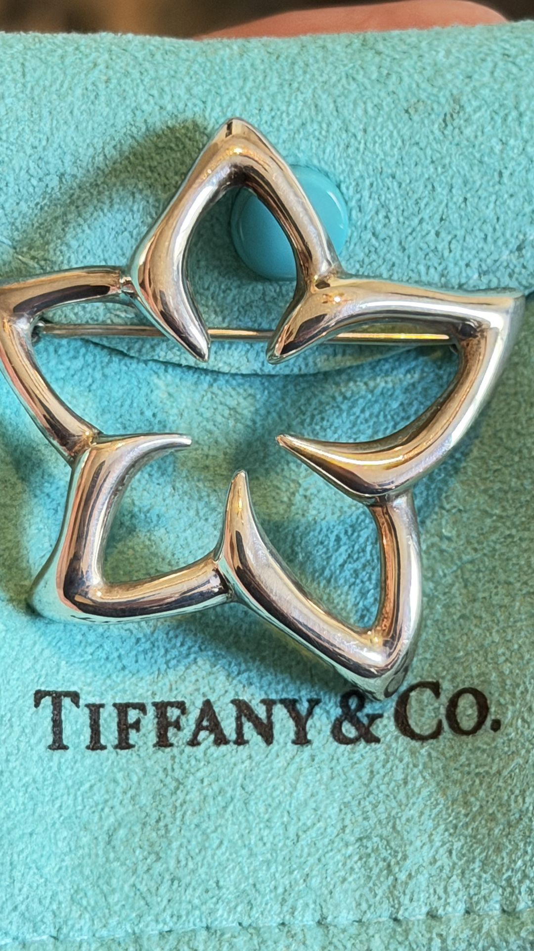 Vintage Tiffany &CO Star/ Floral Brooch 