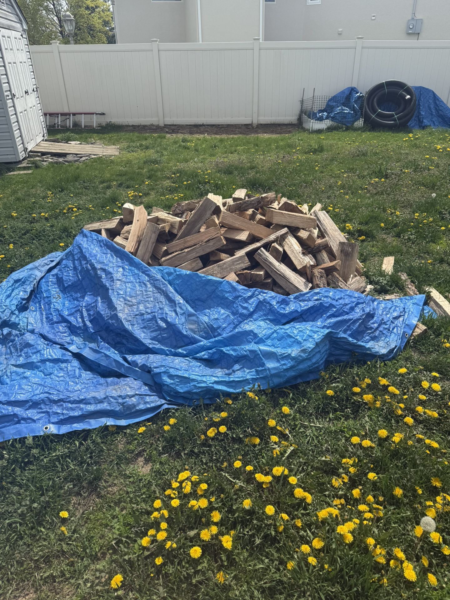 Firewood