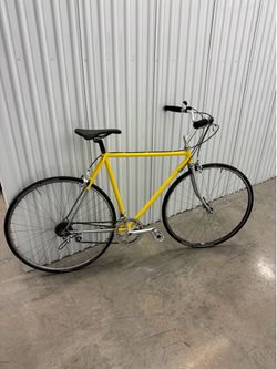 Raleigh Vintage Cruiser / City Bike