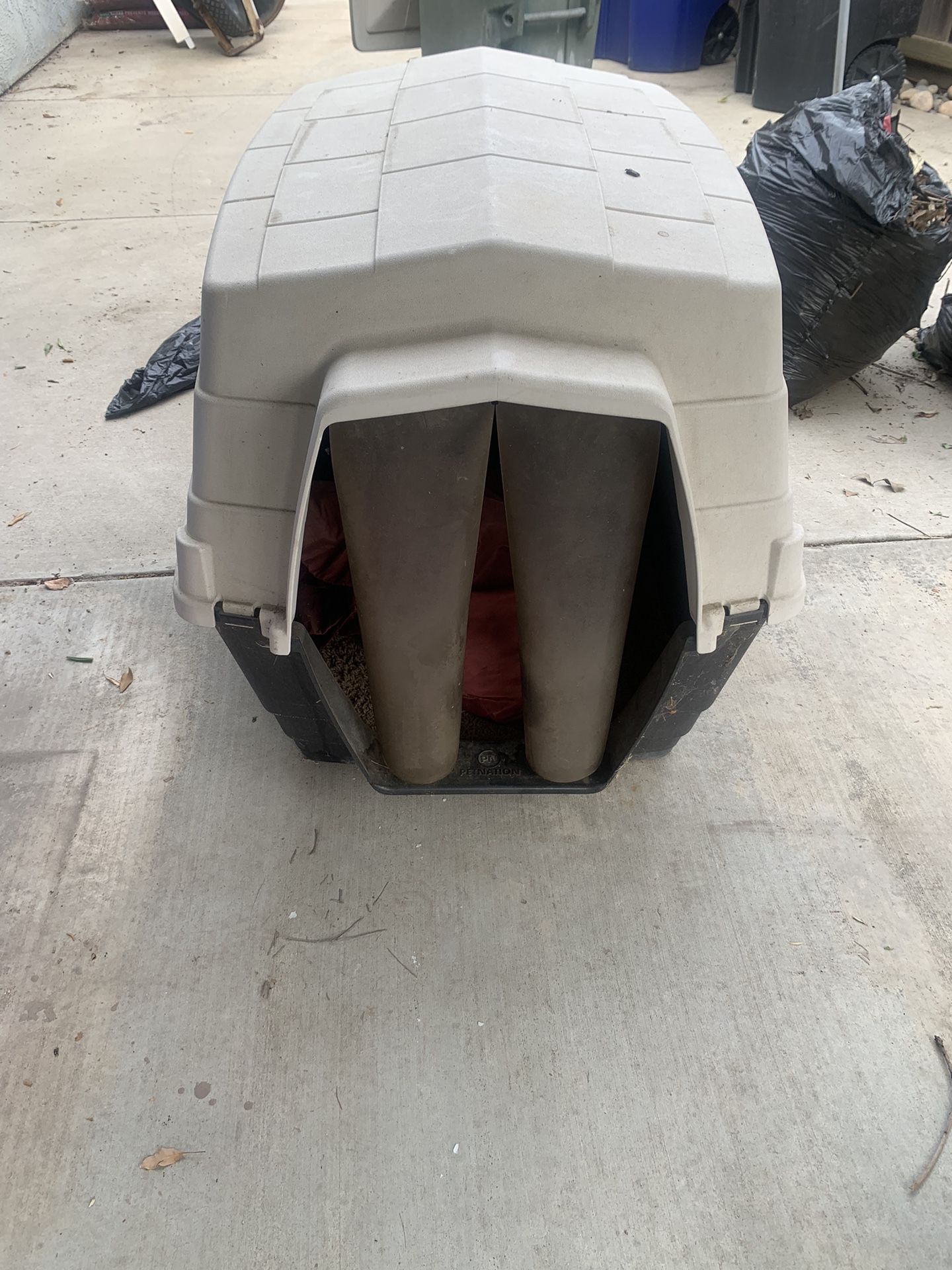 Dog House