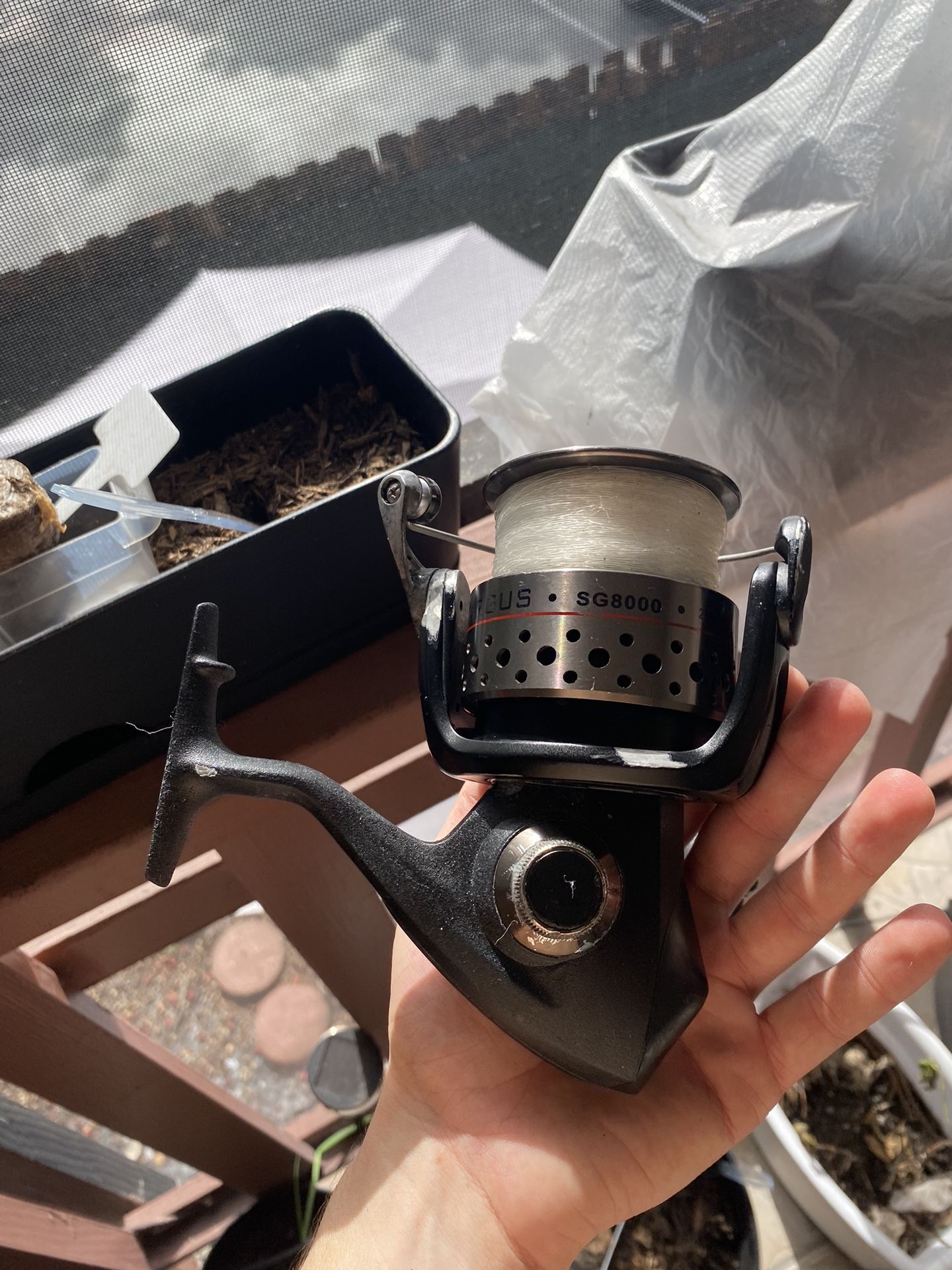 Penn Sargus 8000 Fishing Reel / Trade