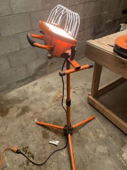 Halogen Light
