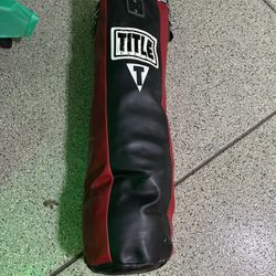 Title Punching Bag and Stand