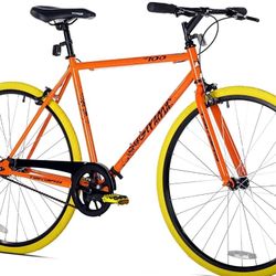 takara sugiyama 700 bike 