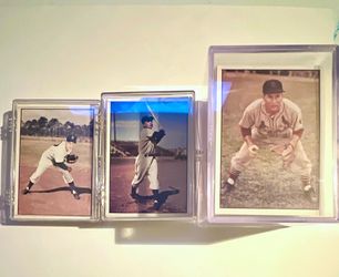 1979 TCMA Baseball History The 1950’s 225 Card Lot