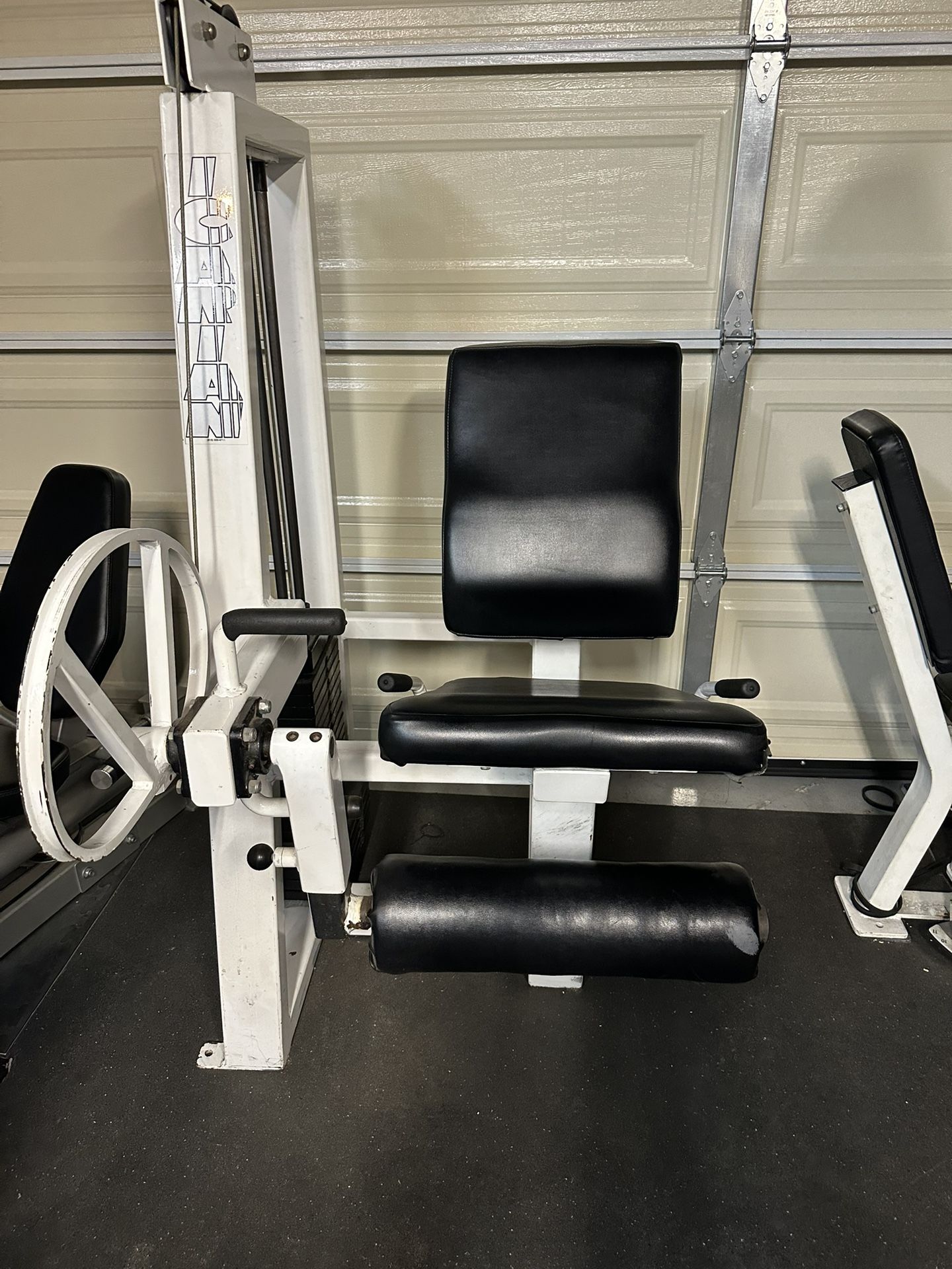 Leg Extension