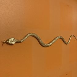 Gold snake 