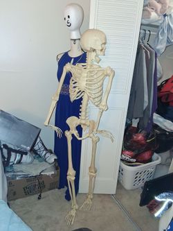 Large life like skeleton (plastic)