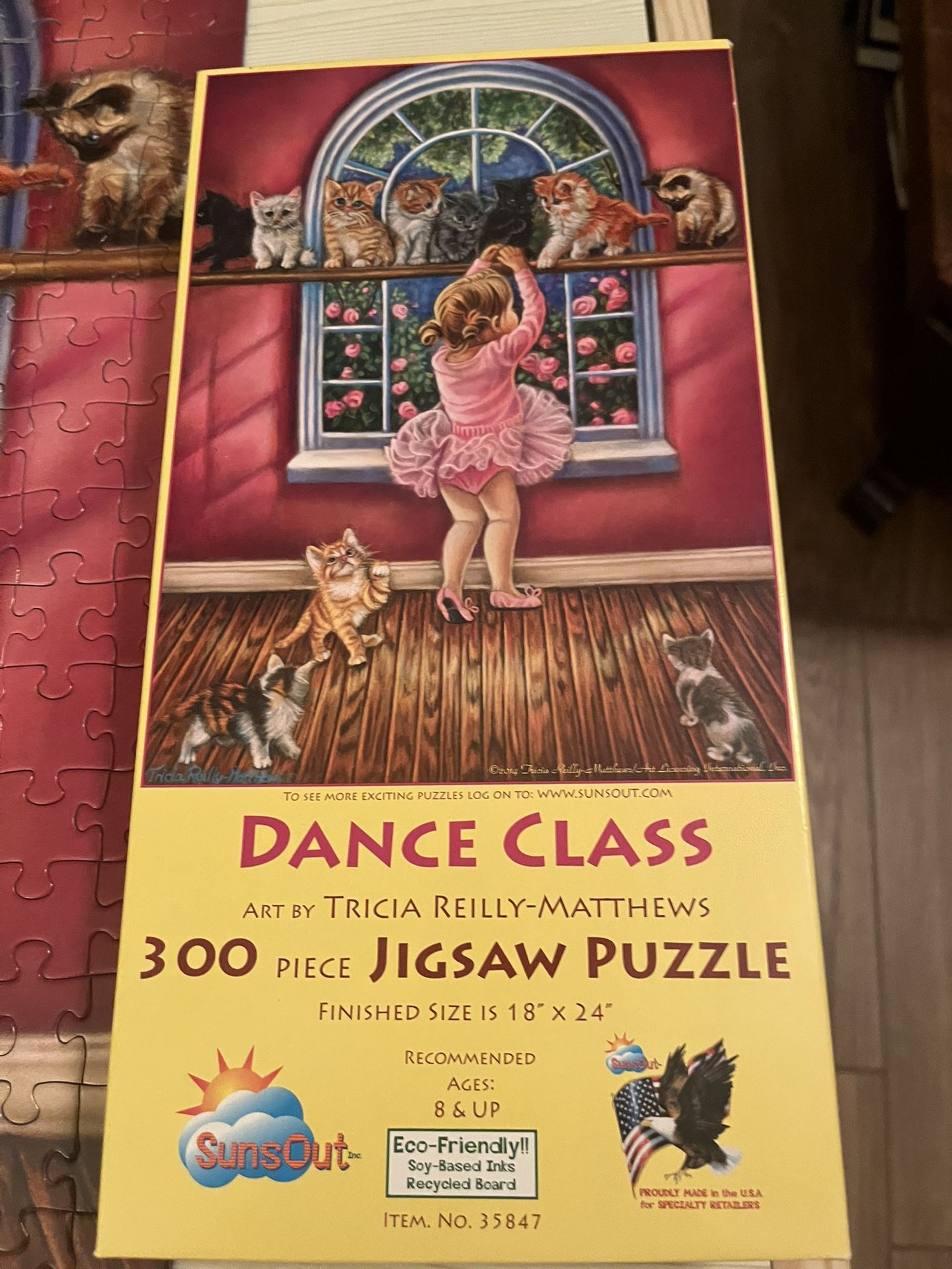 Puzzle - 300 Pieces