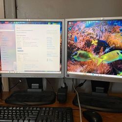 Dual Monitors 