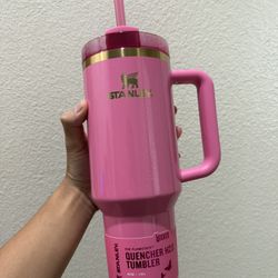 Stanley x Wicked Pink 40oz