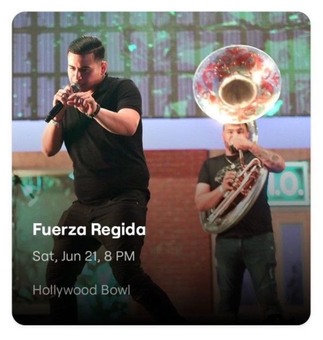 Fuerza Regida