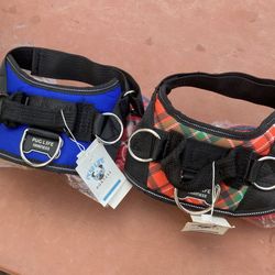 Harness Set Of 2  🐶   Pecheras De Perro 2