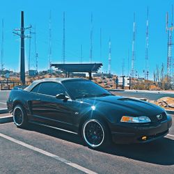 2000 Ford Mustang GT Black