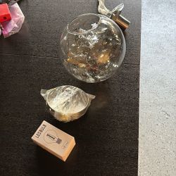 Modern Pendant Light With Silver Flowers Inside 